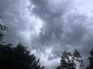 IMG_8265.jpeg