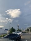 IMG_6308.jpeg