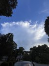 IMG_3695.jpeg