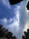 IMG_3704.jpeg