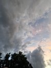 IMG_7286.jpeg