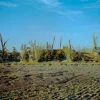 dmg 7.webp