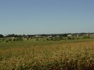 08_20_07.jpg 08_20_07.jpg