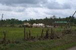 Wren-EF5-damage-homes.JPG