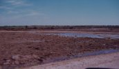 IMG_0998.jpeg