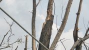 IMG_0423.jpeg