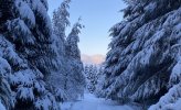 snowy.jpg