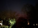 IMG_0874.jpeg IMG_0874.jpeg