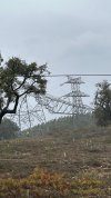 IMG_0553.jpeg