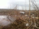 IMG_0555.jpeg