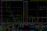 2025112521_RAP_003_31.19,-87.68_winter_mu.png