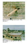 ezgif.com-webp-to-jpg-converter Thanksgiving Twister 1991 F.jpg