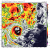 IMG_2883.png