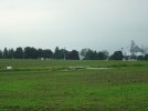 DSC07195.JPG