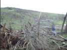 Screenshot_2020-12-07 Vea las imágenes de lo que dejó el paso del tornado que enlutó a San Ped...png