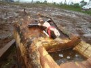 20090907SANPEDROMISIONES6.jpg