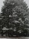 BDC0C40D-A3FF-4A91-9C8B-19758B14D6C2.jpeg
