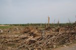 20110427NEWHARMONY9.jpg