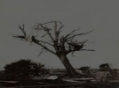 19260920ENCARNACION9.PNG
