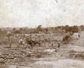 19020518GOLIAD2.jpg