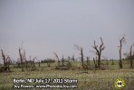 IMG_20210121_134524.jpg