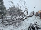 20210125_071357.jpg 20210125_071357.jpg