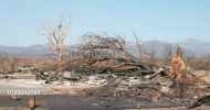 Screenshot_2021-01-28 Destruction at the home of Jose Briones after fire tornado that .png Screenshot_2021-01-28 Destruction at the home of Jose Briones after fire tornado that .png