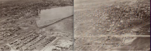Tupelo 1.png