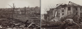 Tupelo 3.png