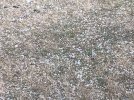 IMG_1587.jpeg