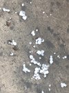 IMG_1588.jpeg