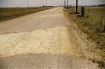 road.jpg