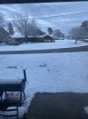 IMG_4277.jpeg