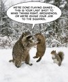 IMG_1714.jpeg