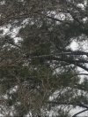IMG_8218.jpeg