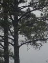 IMG_8219.jpeg