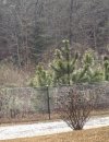 IMG_8217.jpeg