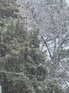 IMG_8221.jpeg