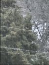 IMG_8220.jpeg