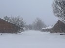 IMG_1952.jpeg