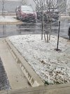 20260316_095559.jpg
