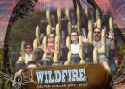 coaster.jpg