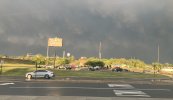 IMG_8172.jpeg