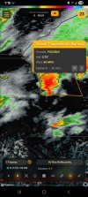 1000024847.jpg