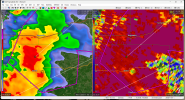 SGF_0050_CC.png