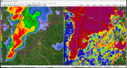SGF_0157_CC.png