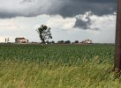 IMG_2381.jpeg