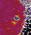 IMG_2418.jpeg