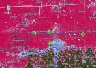 1781733155019.png