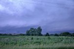 DSC_0130.jpeg
